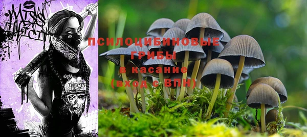 кокс Нязепетровск