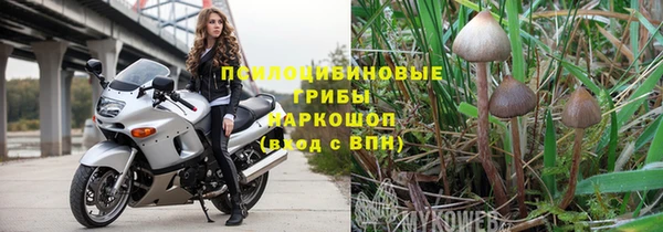 гидропоника Няндома