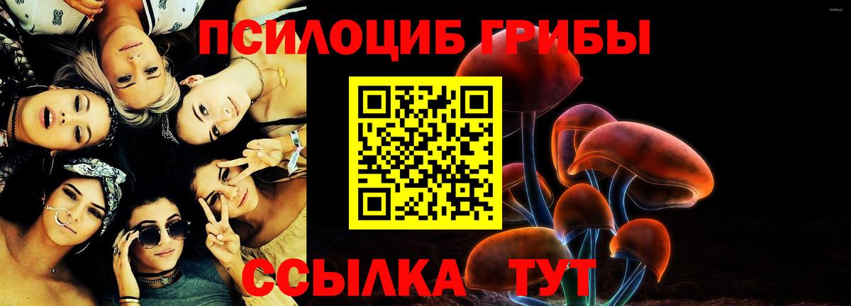 Галлюциногенные грибы Psilocybe  закладка  Сарапул  Вход с VPN 